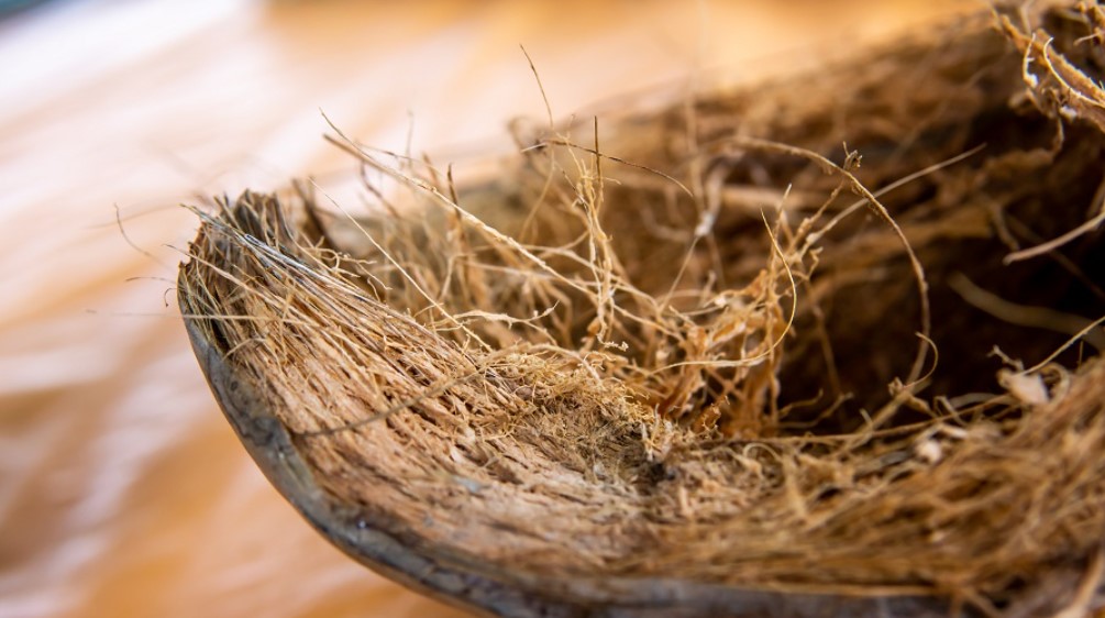 4 Coconut Fiber Advantages You Should Be Aware Of