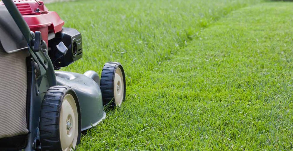 A Step-By-Step Guide To Effective Mowing Of Your Lawns